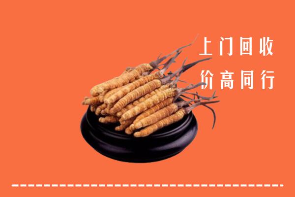 高价求购：济宁汶上县回收散虫草