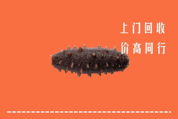高价求购：济宁汶上县回收海参