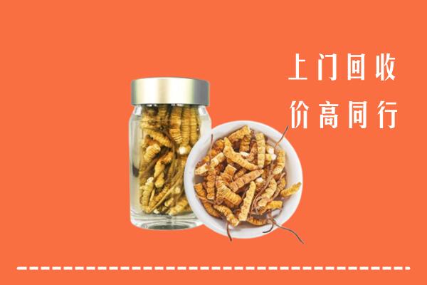 济宁汶上县回收冬虫夏草