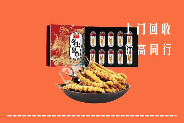 济宁汶上县回收虫草